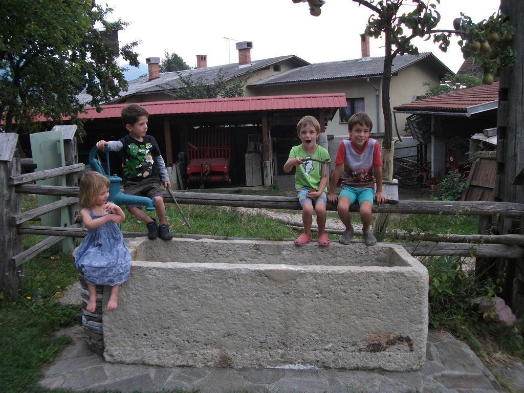 Bio Turisticna Kmetija Frcej-Zupan Vila Bled Exterior foto